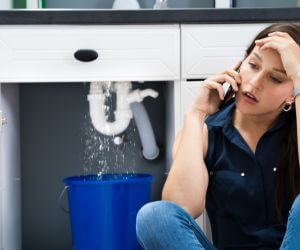 About The Faucet Pros Axis, AL